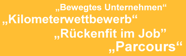 Abbildung zur Broschüre. Bezeichnungen der Konzepte "Bewegtes Unternehmen", "Kilometerwettbewerb", "Rückenfit im Job", "Parcours"