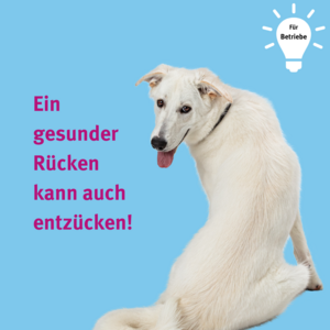 Ein gesunder Rücken kann auch entzücken!